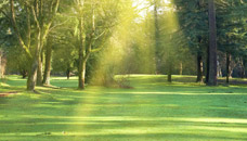 Burr Funeral Home and Cremation Service